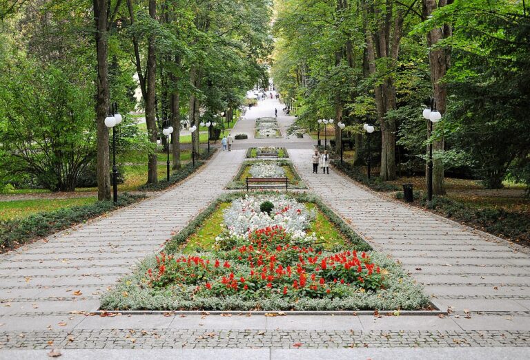 Park Zdrojowy w Polanicy-Zdroju - alejki i zieleń