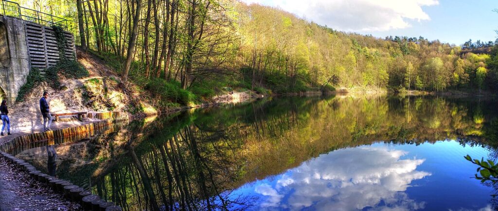 Jezioro Szmaragdowe w Szczecinie otoczone lasem