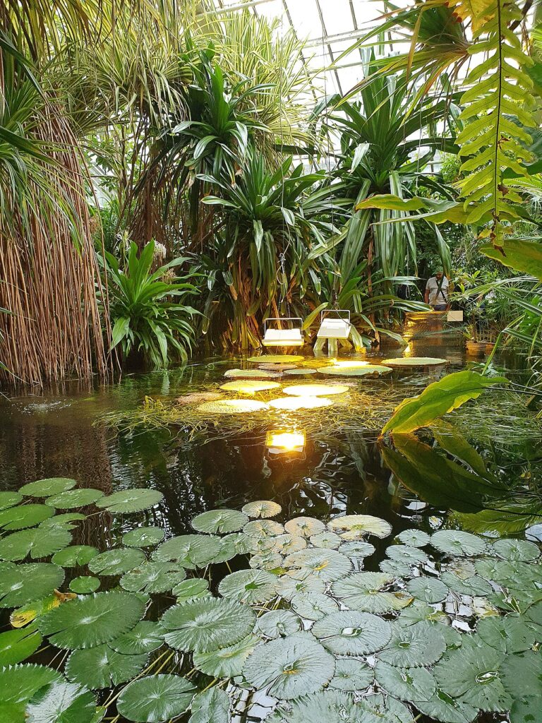 Palmiarnia Poznańska - szklarnia z egzotyczną roślinnością
